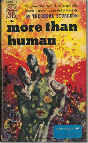 more-than-human