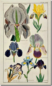 Reproduction, © Bloomsbury Auctions