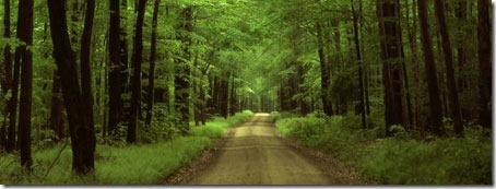 the-road-we-travel-400