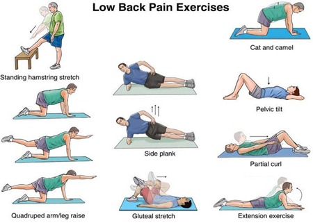 back-exercise