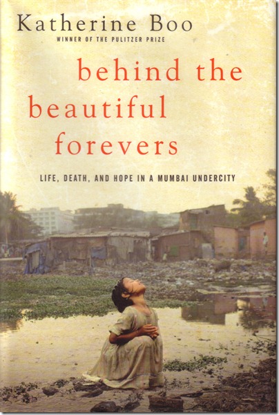 Behind-the-Beautiful-Forevers