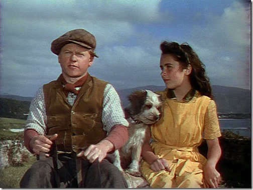 National Velvet