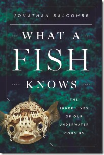What A Fish Knows by Jonathan Balcombe