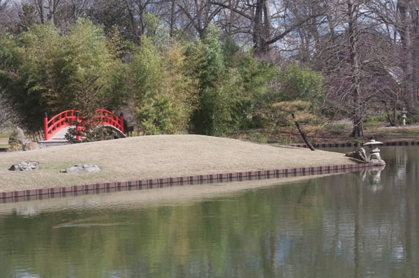 DSLR---bridge