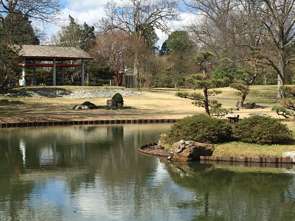 iPhone---island-zoomed