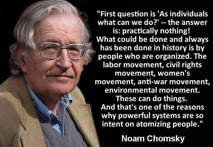 Noam Chomsky quote