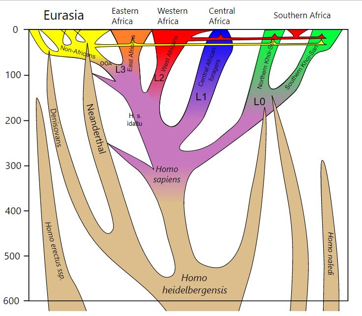 Science Fiction and Human Evolution – Auxiliary Memory