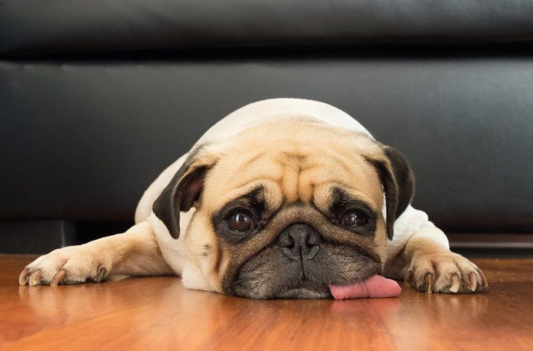 More Fun With Memory&nbsp;Loss