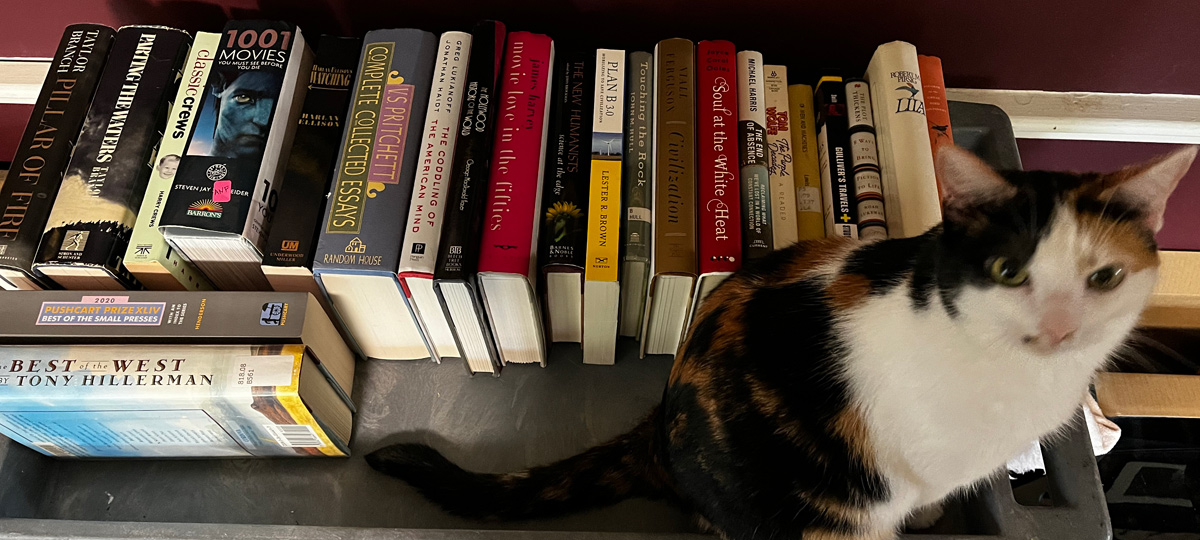 What I’m Learning From Thinning Out My&nbsp;Books