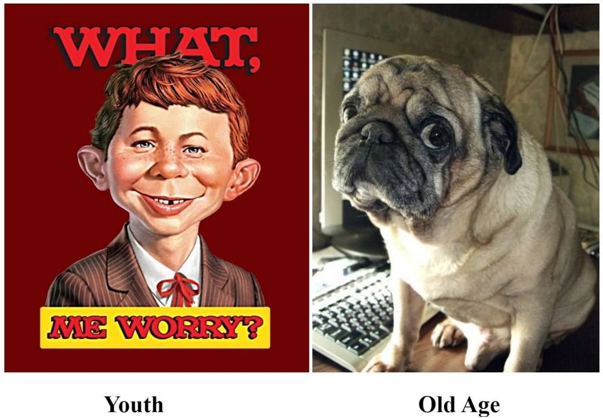 In Control, Losing Control, Out of&nbsp;Control