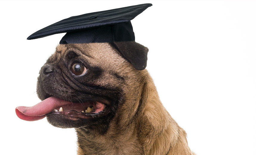 What is Education in Old&nbsp;Age?