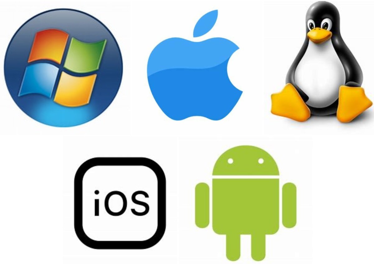 The Challenge of Cross Platform Computing&nbsp;Life