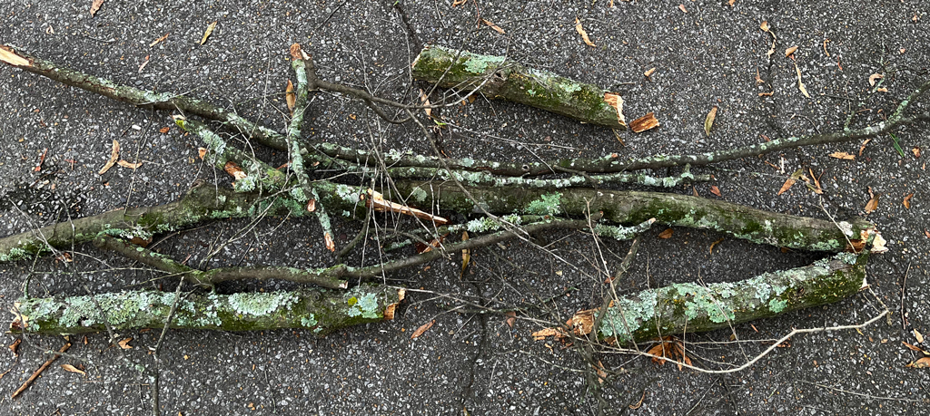 Do We Become More Sensitive to Weirdness as We Get&nbsp;Older?