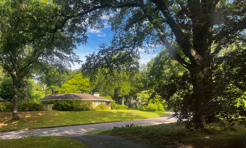 What I See Outside My Window vs. What I See on My TV&nbsp;Screen