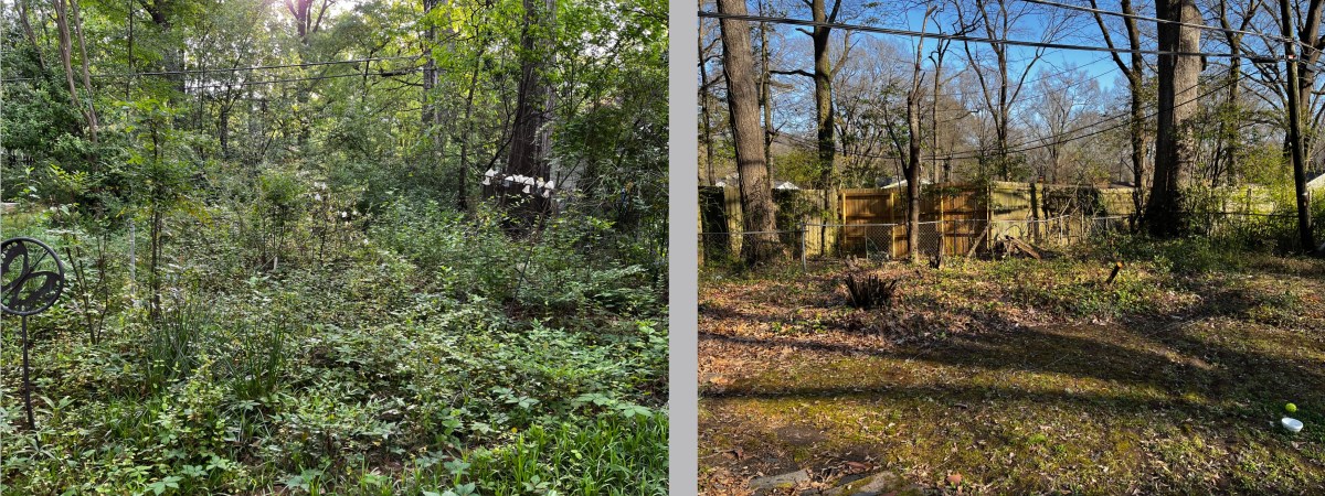 My War With Mother&nbsp;Nature